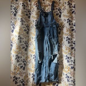Final sale! Free People Jean Overalls